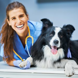 Joyful veterinarian bonding with a happy dog on a sleek epoxy floor.