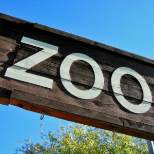 Epoxy flooring signposted 'Zoo' indicating durable and animal-friendly surfaces within.